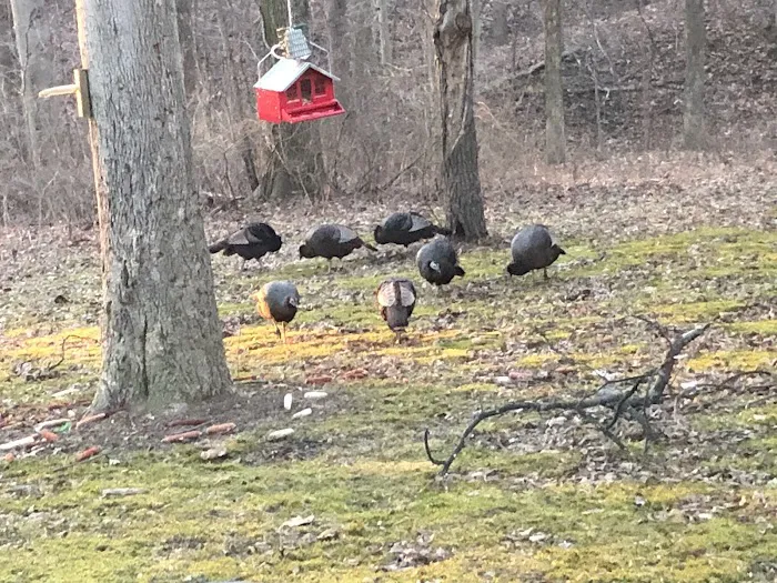 Clayton's RV Park Picture 10