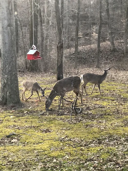 Clayton's RV Park Picture 7