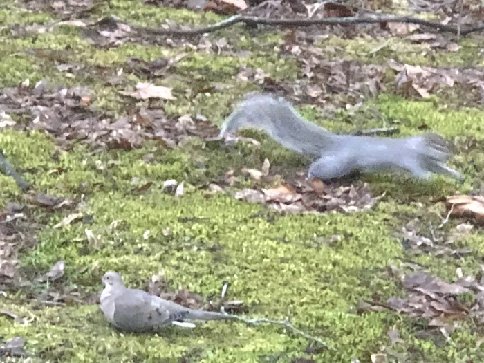 Clayton's RV Park Picture 5