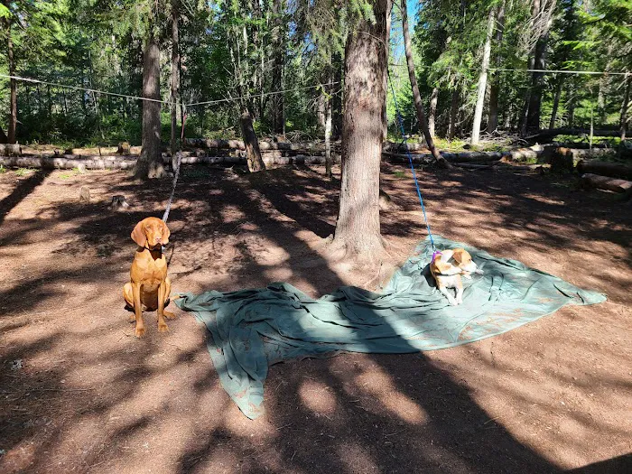 Outlet Campground at Priest Lake Picture 8
