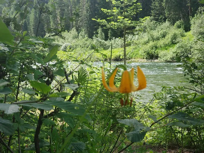 Dickensheet Campground Picture 10