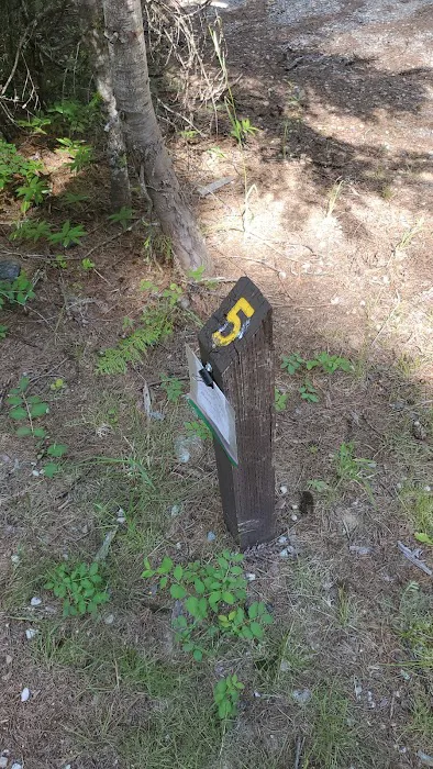 Priest Lake osprey campground site 5 Picture 4