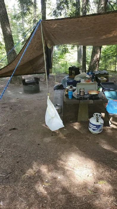 Priest Lake osprey campground site 5 Picture 2