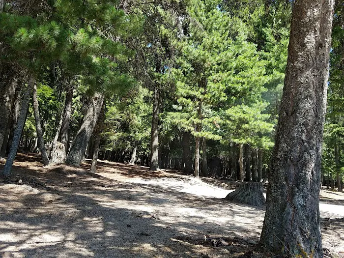 Silver Campground Picture 9
