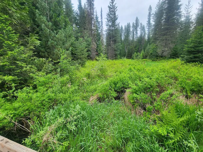 Plowboy Campground Picture 5