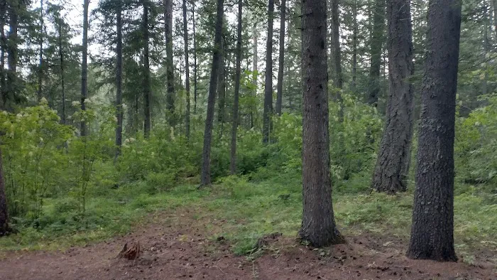 Mokins Bay Campground Picture 5