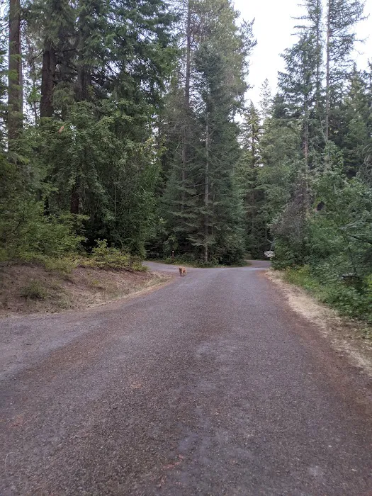 Mokins Bay Campground Picture 7