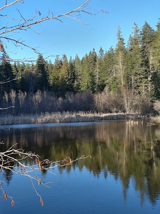 Mokins Bay Campground Picture 3
