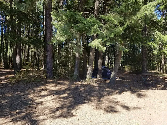 Thimbleberry Group Camp Picture 9