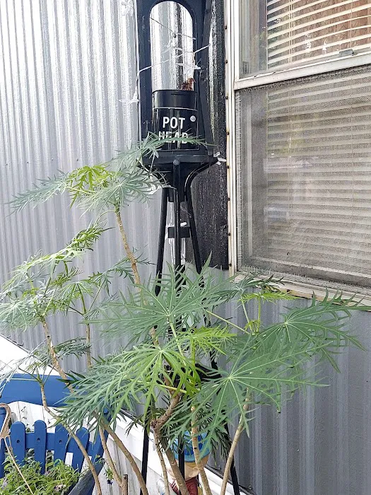 Lakeside Mobile Home Park Picture 10