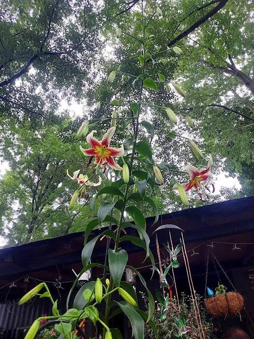 Lakeside Mobile Home Park Picture 6