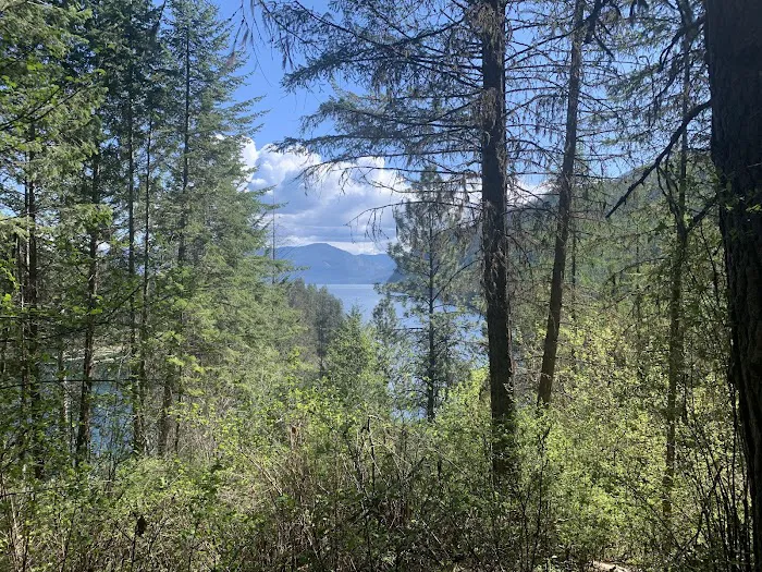 Gilmore Campground Picture 6