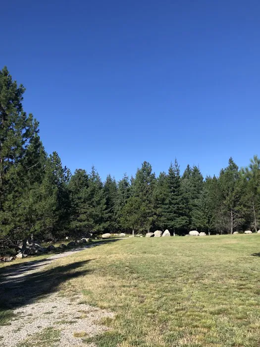 Gilmore Campground Picture 4