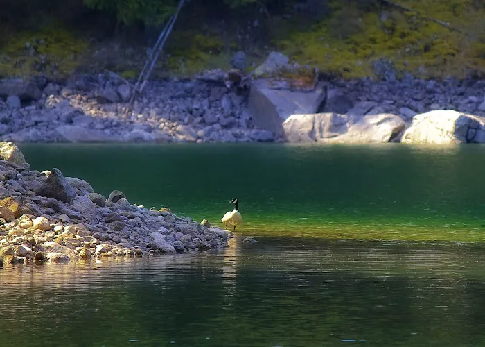 Buttonhook Group Campground Picture 10