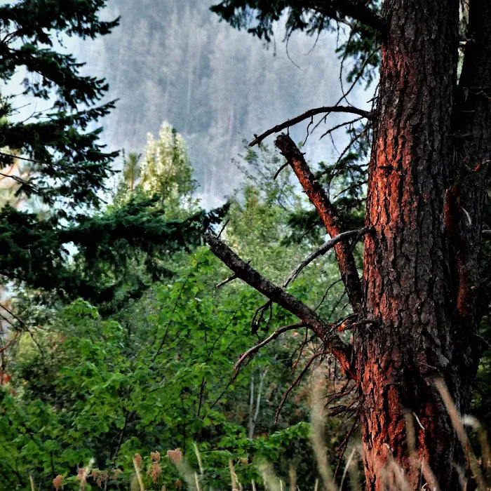 Buttonhook Group Campground Picture 9