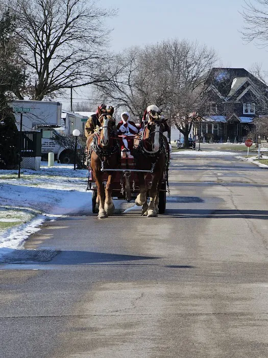 West Ridge Green Mobile Home Picture 3