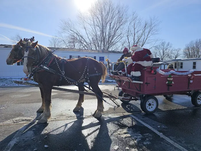 West Ridge Green Mobile Home Picture 8