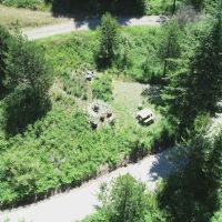 Careywood Hollow ico