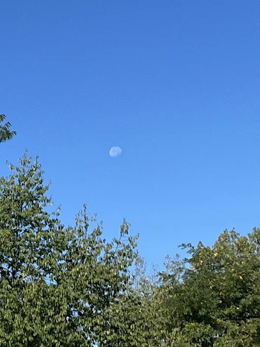 Brookdale Park MHP LLC Picture 5