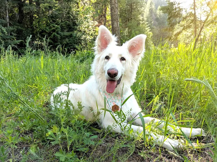 Beauty Creek Campground Picture 9