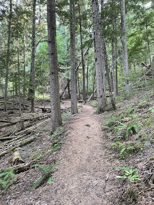 Beauty Creek Campground Picture 6