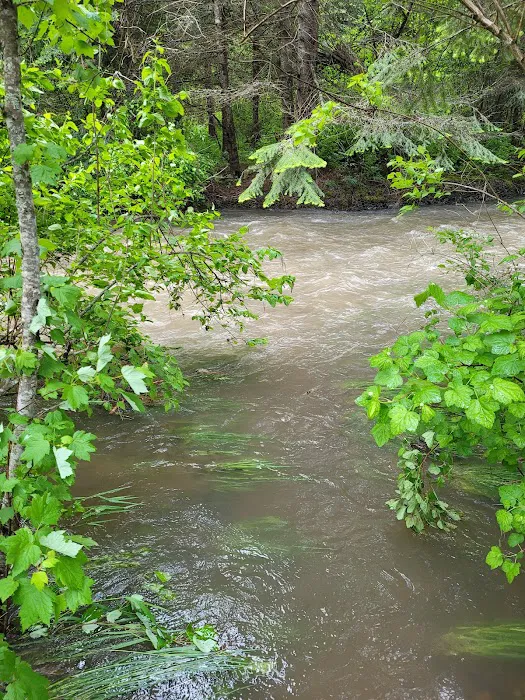 Beauty Creek Campground Picture 7