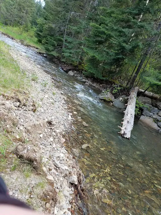 Beauty Creek Campground Picture 8