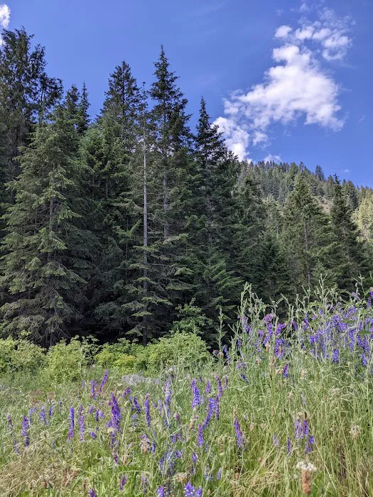 Beauty Creek Campground Picture 5