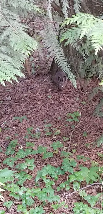 Riley Creek Picture 5