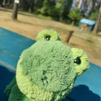 Camp Peine ico
