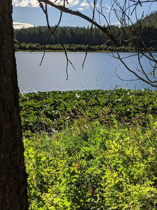 Round Lake Campground Picture 7