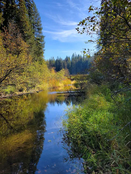 Round Lake Campground Picture 8