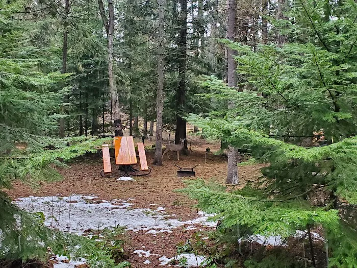 Round Lake Campground Picture 10