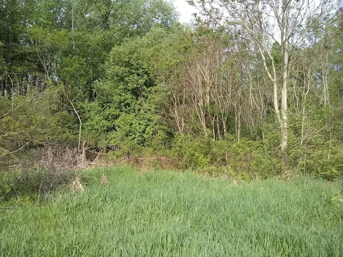 Shady Knolls Mobile Home Park Picture 3