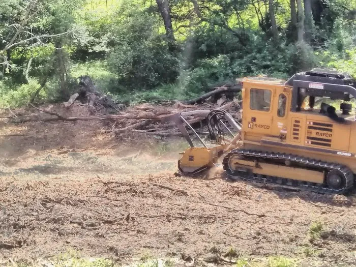 Shady Knolls Mobile Home Park Picture 6