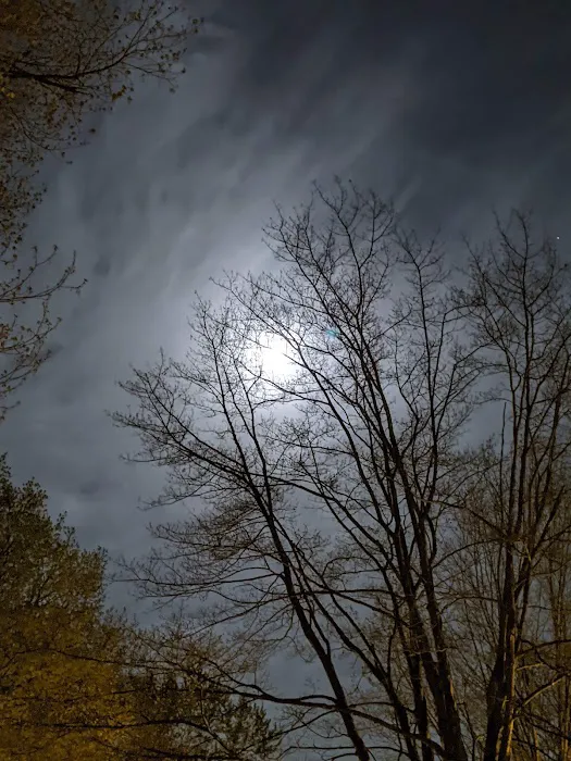 Shady Knolls Mobile Home Park Picture 1