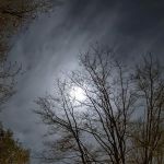 Shady Knolls Mobile Home Park