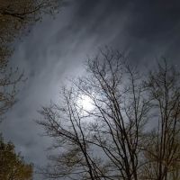 Shady Knolls Mobile Home Park ico