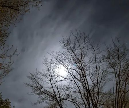 Shady Knolls Mobile Home Park