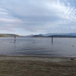 Springy Point Campground