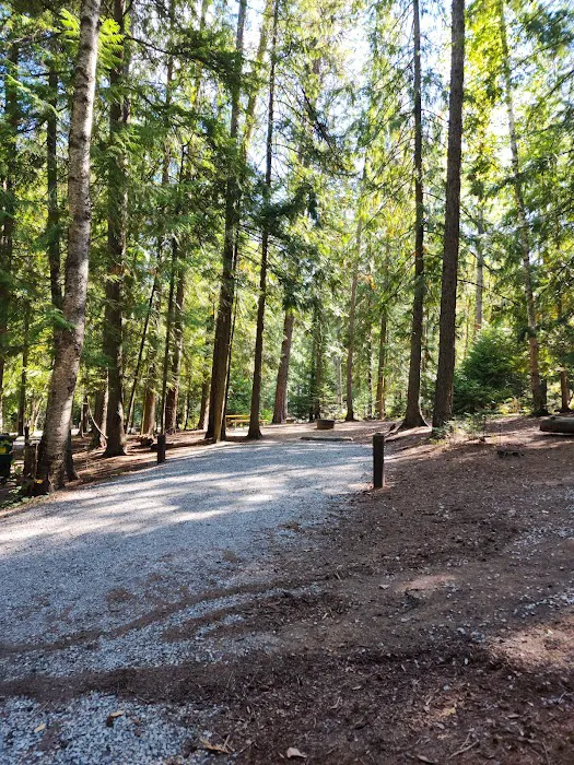 Springy Point Campground Picture 8
