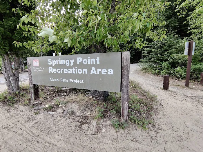 Springy Point Campground Picture 3