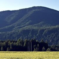 Camp Ward ico