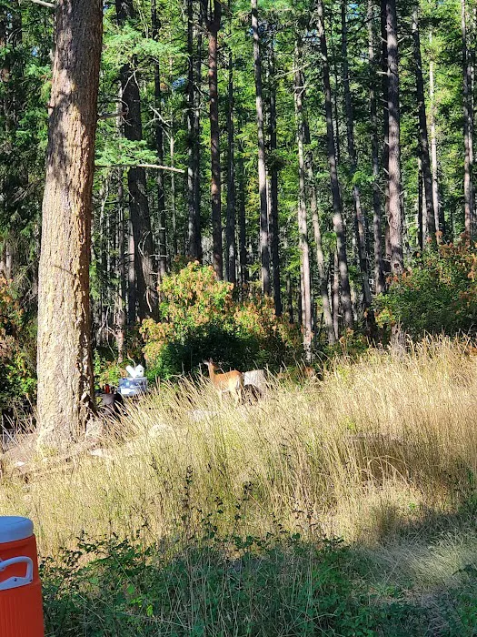Whitetail Campground Picture 7