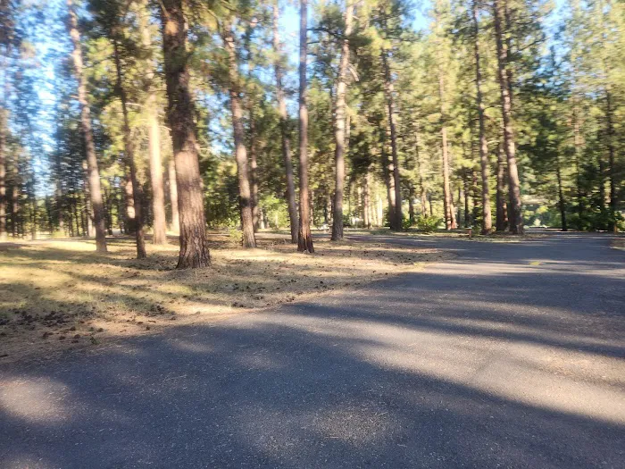 Whitetail Campground Picture 8