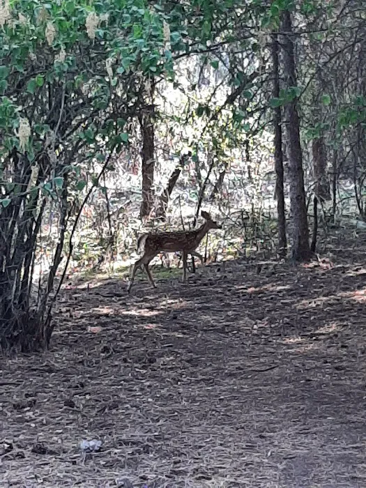Whitetail Campground Picture 9
