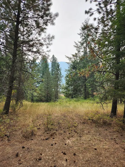 Snowberry Campground Picture 5