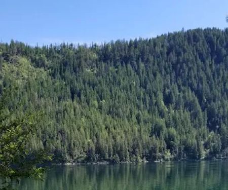 Snowberry Campground