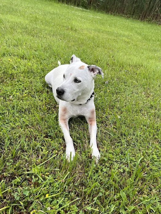 Mayfield Mobile Home Park Picture 10