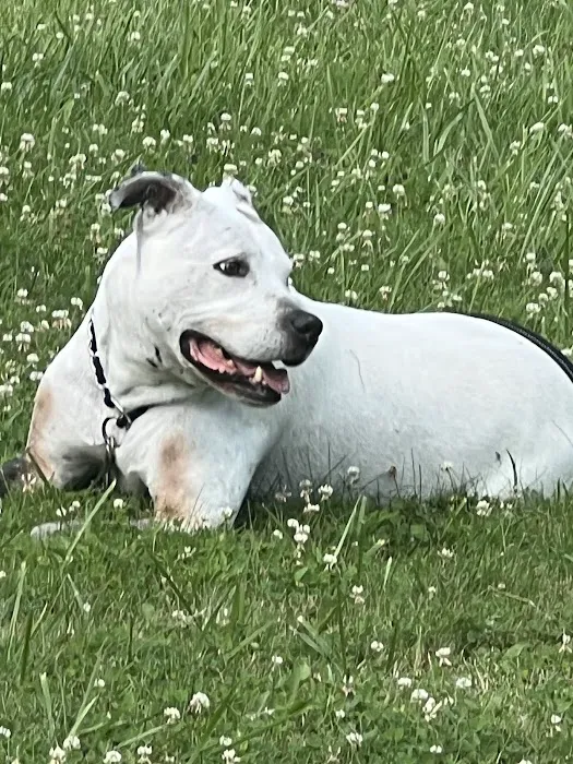 Mayfield Mobile Home Park Picture 6